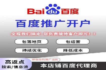 百度竞价广告投放成功案例解析